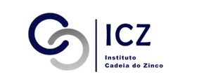 BRZ23CSB_ICZ_300X120
